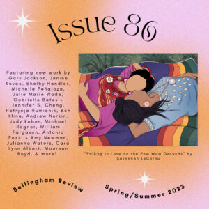 Graphic sharing the new issue with a pink background with the names of the authors alongside the cover art.